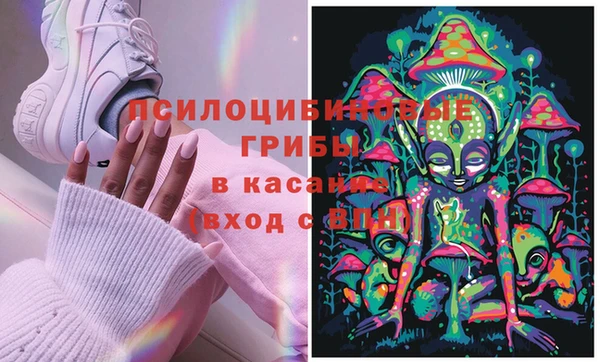 Альфа ПВП Аркадак